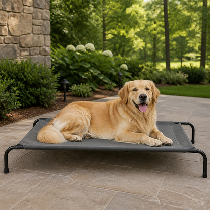 Cooling Breathable Mesh Elevated Dog Bed