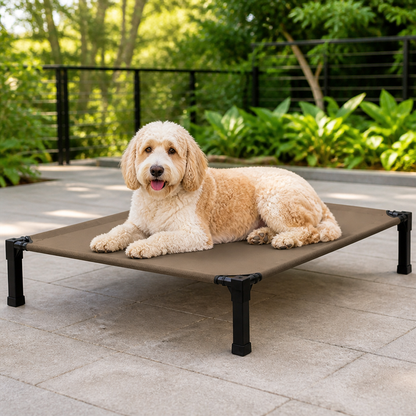 Elevated Washable Breathable Mesh Dog Bed