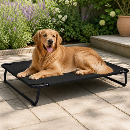 Elevated Iron Frame & Breathable Dog Bed (No Filler)