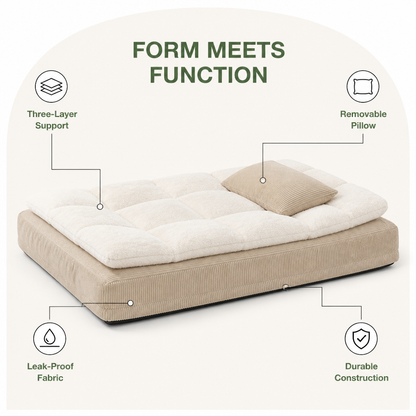 Ergonomic Spinal Support & Removable Pillow Dog Bed
