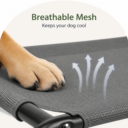 Cooling Breathable Mesh Elevated Dog Bed
