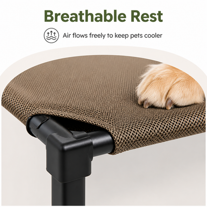 Elevated Washable Breathable Mesh Dog Bed