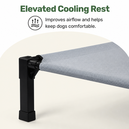 Elevated Cooling Portable Nylon Dog Cot
