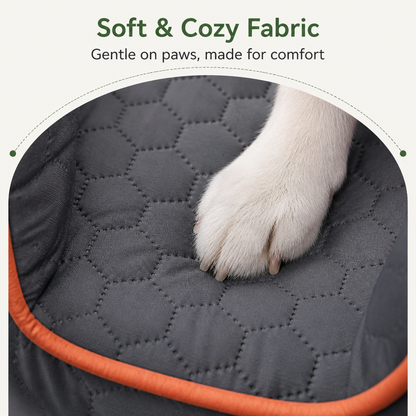Elevated Removable & Washable Car Booster Seat