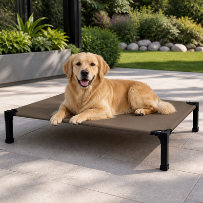 Elevated Washable Breathable Mesh Dog Bed