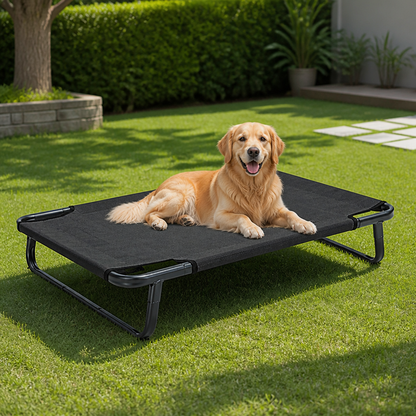 Elevated Iron Frame & Breathable Dog Bed (No Filler)