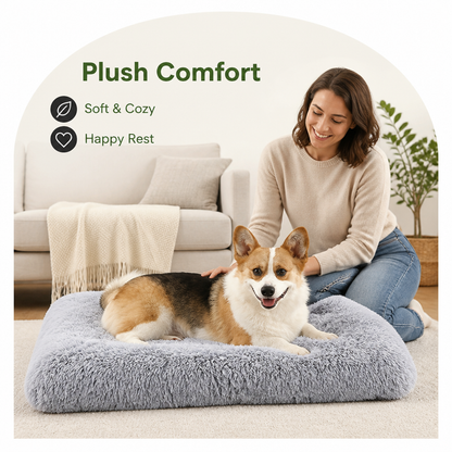 Cozy Plush & Detachable Cover Dog Bed