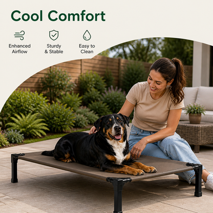 Elevated Washable Breathable Mesh Dog Bed