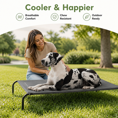 Elevated Cooling & Chew-Resistant Dog Bed
