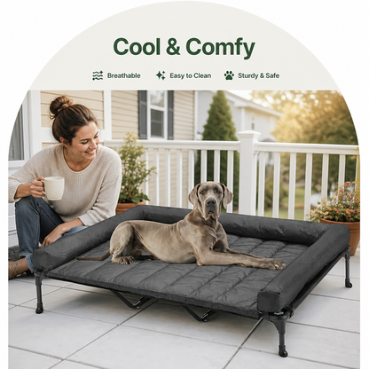 Elevated Cooling Mesh Dog Bed (Removable Pillow-Top)