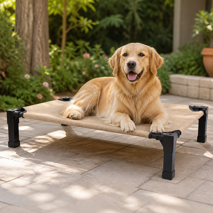 Elevated Washable Breathable Mesh Dog Bed