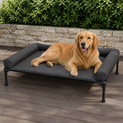 Elevated Cooling Mesh Dog Bed (Removable Pillow-Top)