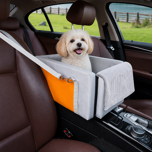 Double-Belt Safety & Padded Car Booster Seat (Armrest Console)