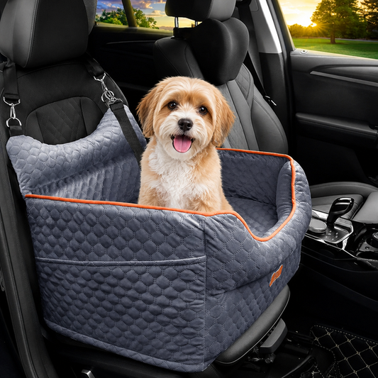 Elevated Removable & Washable Car Booster Seat