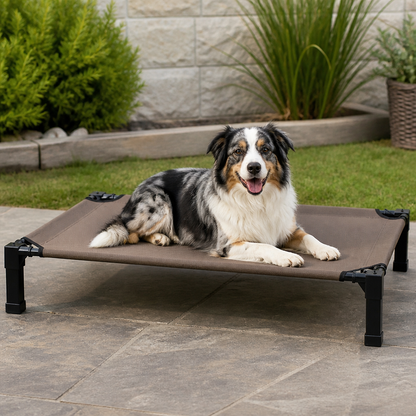 Elevated Cooling Portable Nylon Dog Cot