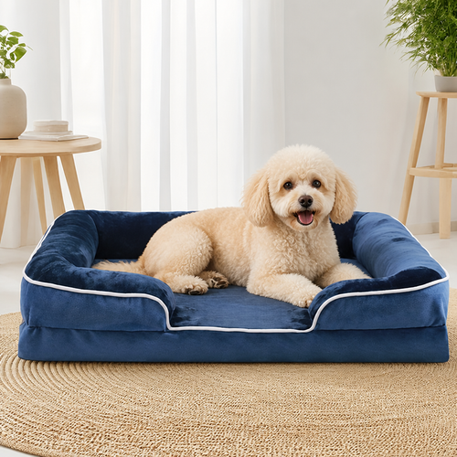 Orthopedic Support Foam & Anti-Skid Bottom Dog Bed (Detachable Cover)
