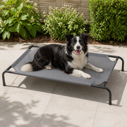 Elevated Cooling & Chew-Resistant Dog Bed