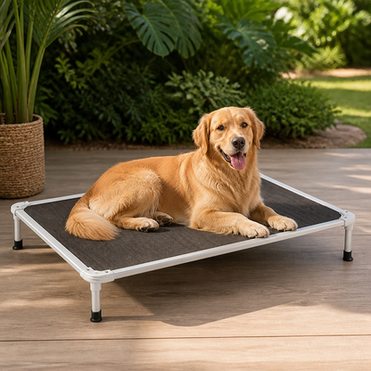 Chew-Proof Aluminum Frame Elevated Dog Bed (Indoor/Outdoor)