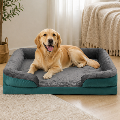 Orthopedic Support Foam & Anti-Skid Bottom Dog Bed (Detachable Cover)