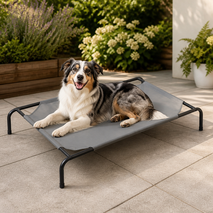 Cooling Breathable Mesh Elevated Dog Bed