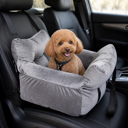 Safety Harness & Multi-Carry Booster Seat (Fits Front & Back Seats)