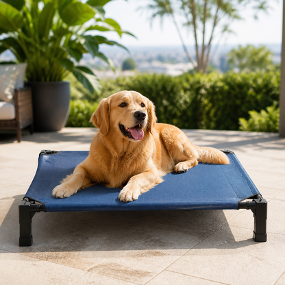 Elevated Aluminum Outdoor Dog Bed (Removable Canopy)