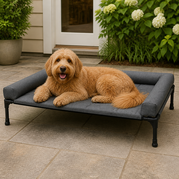 Elevated Cooling Mesh Dog Bed (Removable Pillow-Top)