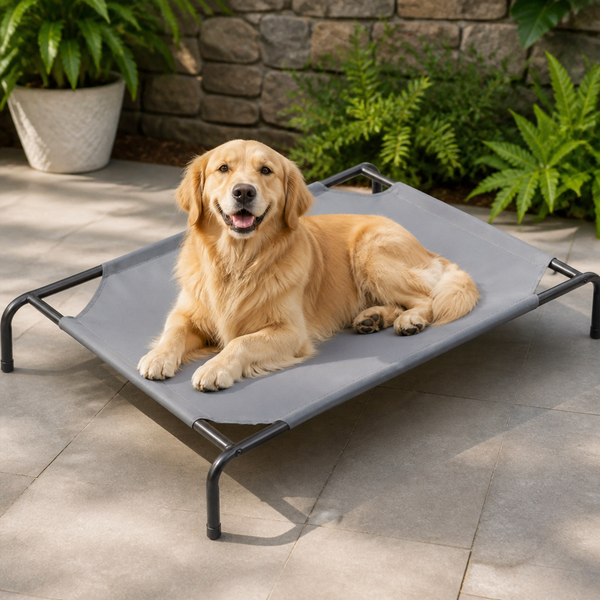 Cooling Breathable Mesh Elevated Dog Bed