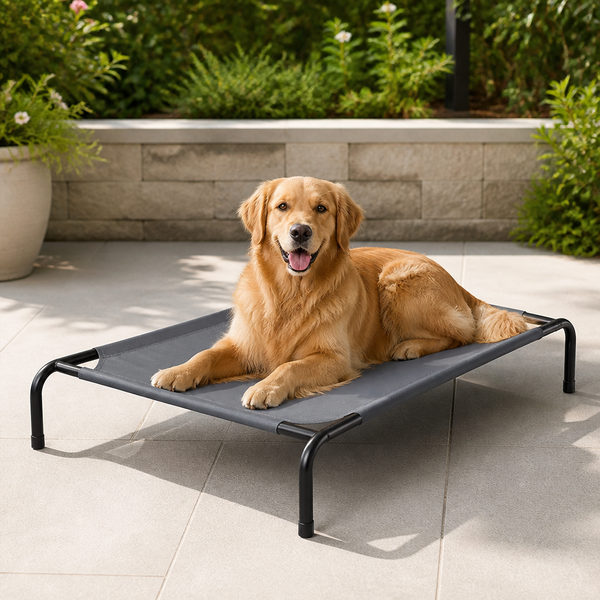Elevated Cooling & Chew-Resistant Dog Bed