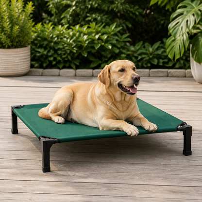 Elevated Aluminum Outdoor Dog Bed (Removable Canopy)