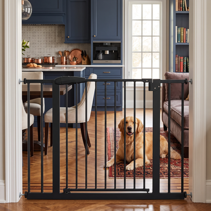 The Sentinel — Steel Outdoor Dog Gate